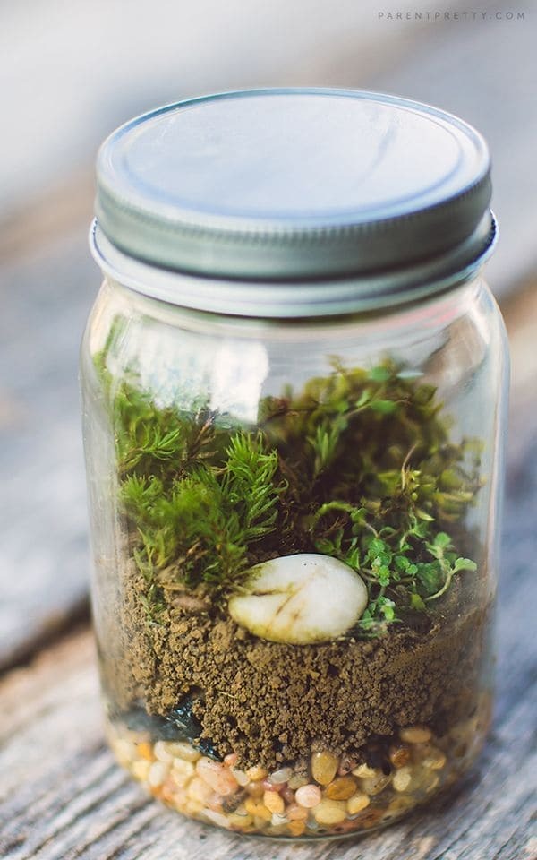 Glass Jar Terrarium Craft Ideas