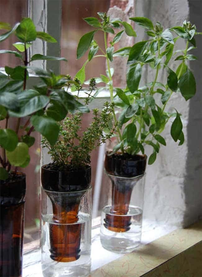 Recycled Wine Bottle Self-Watering Planters