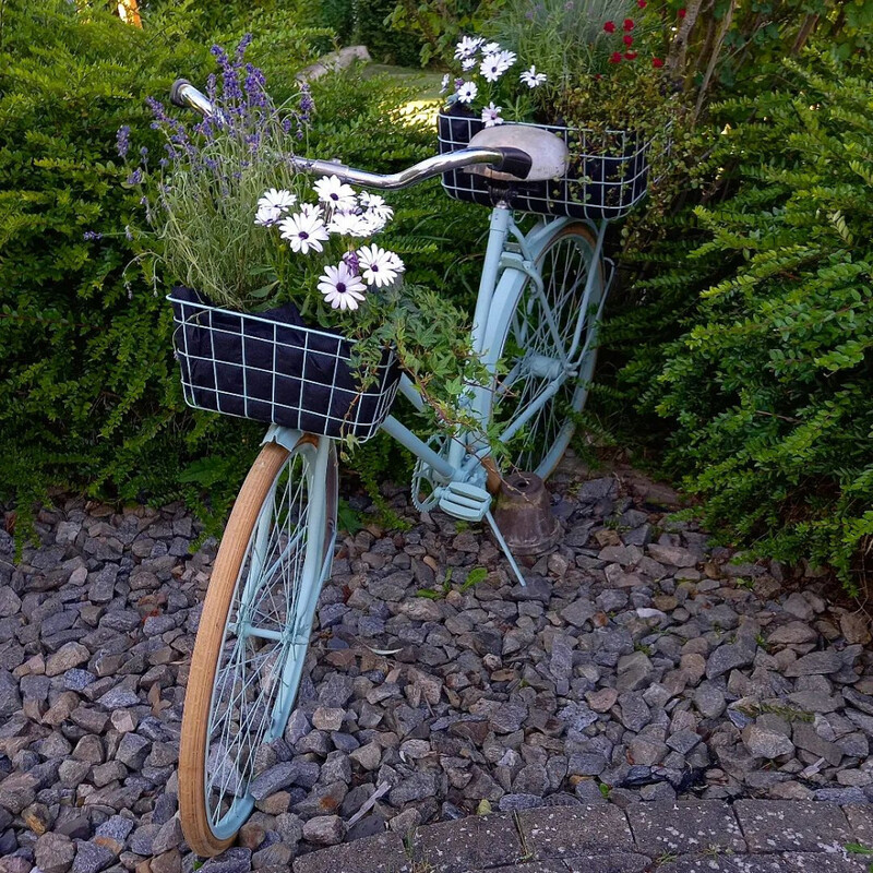 Bicycle Of Flowers
