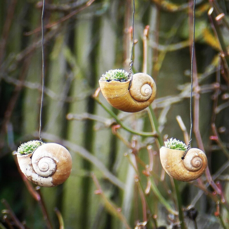 Hanging Seashell Planter