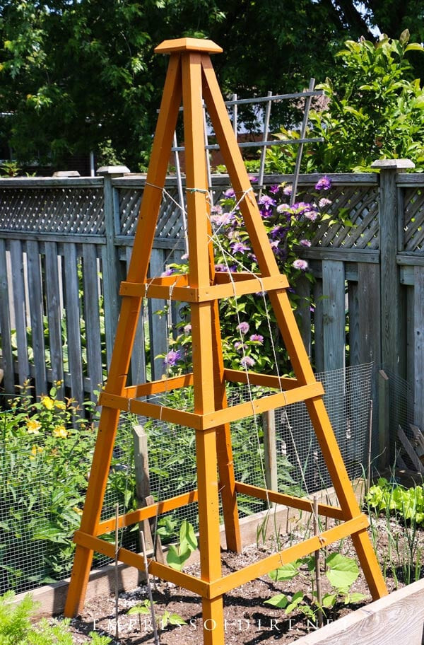 Rustic Wooden Climbing Bean Obelisk