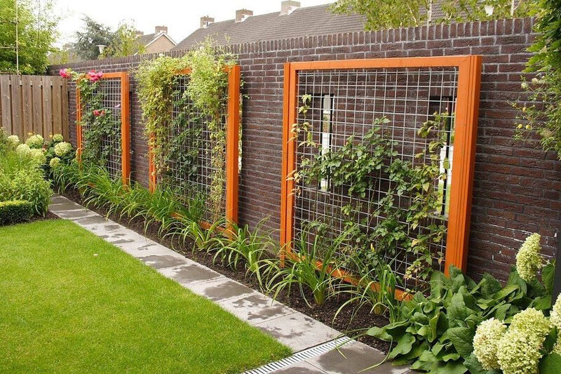 Wood-Framed Wire Trellis