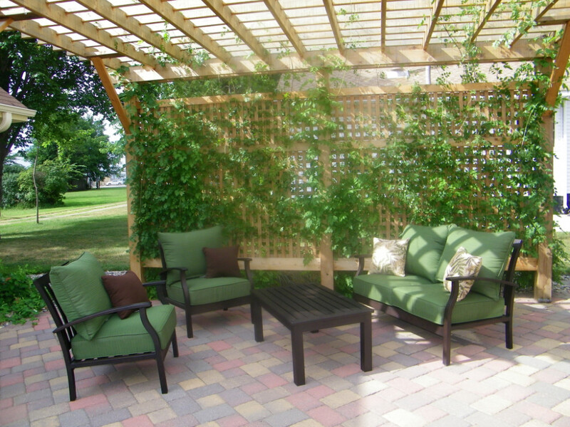 A Pergola With Plants