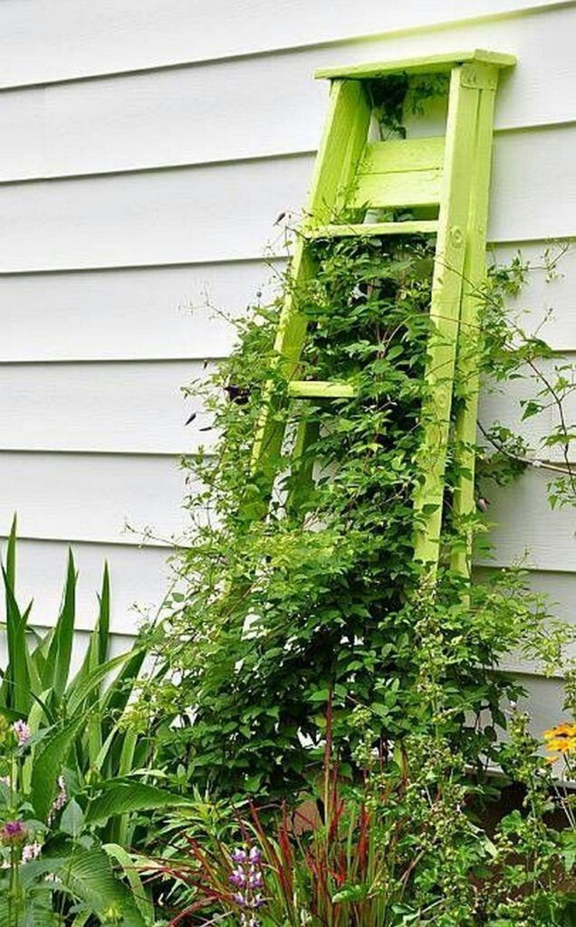 Easy Ladder Trellis