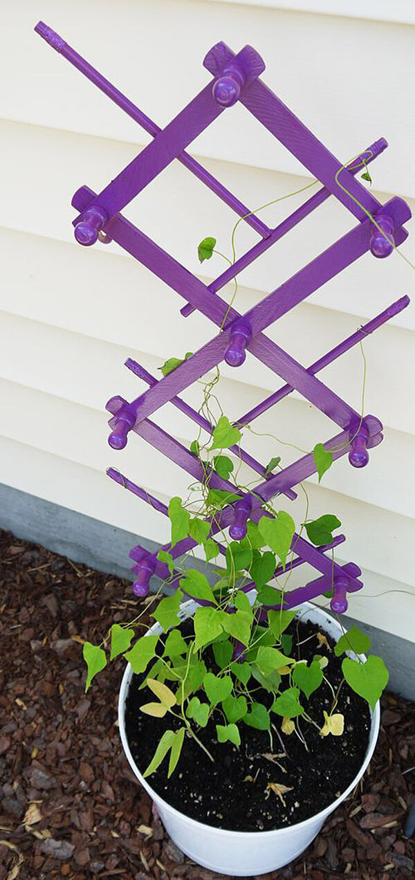 Recycled Coat Rack Plant Trellis