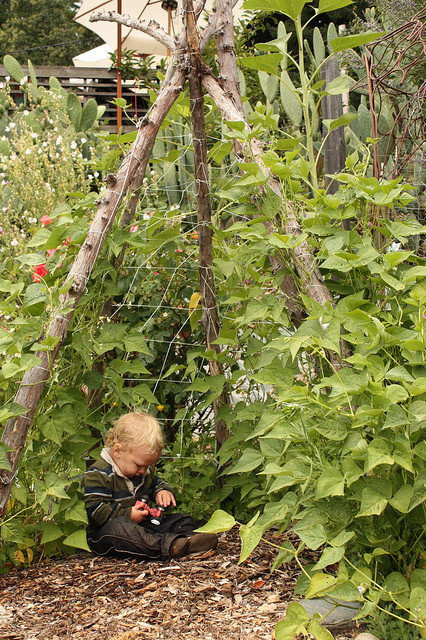 Teepee Trellis