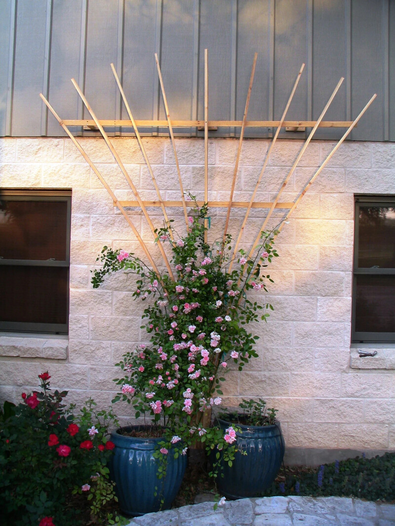 Fan Trellis