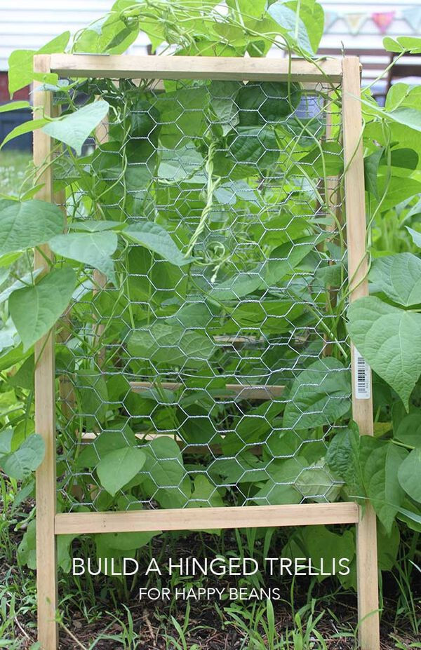 Hinged Trellis