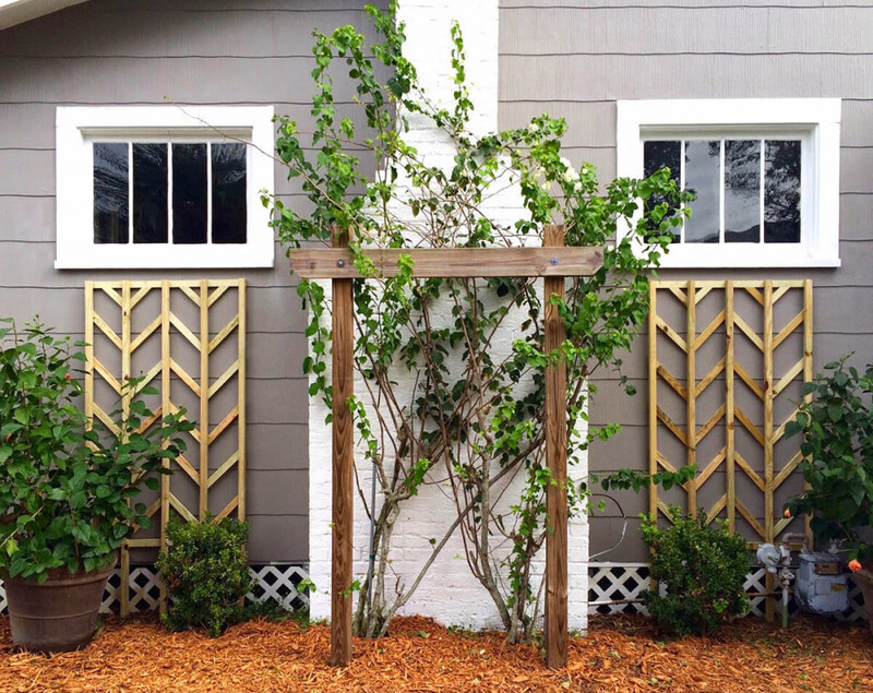 Simple and Stylish Garden Lattice