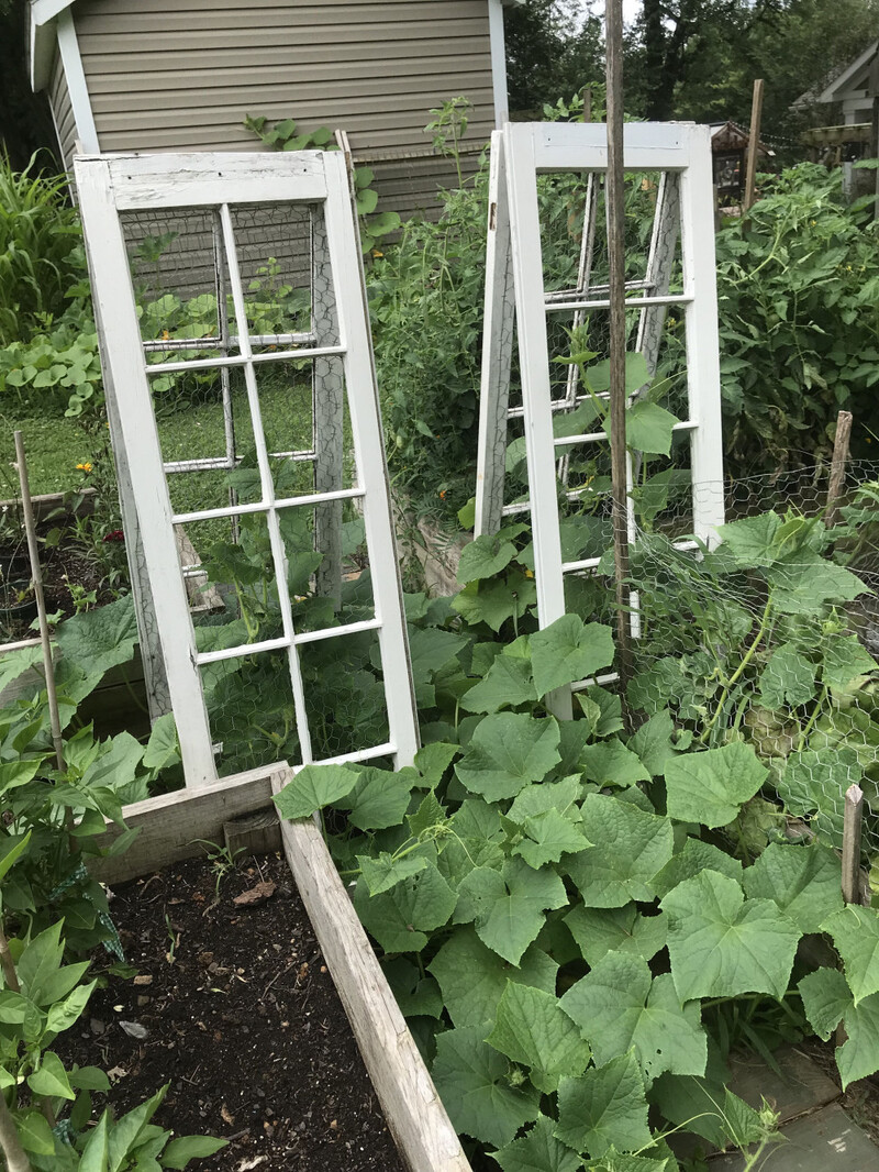 Rework an Old Window and Chicken Wire