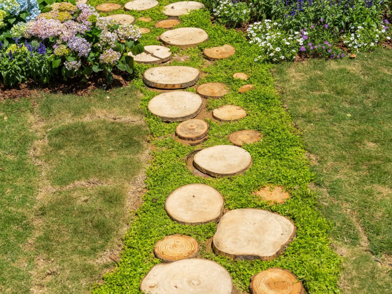 Log Slice Stepping Stones