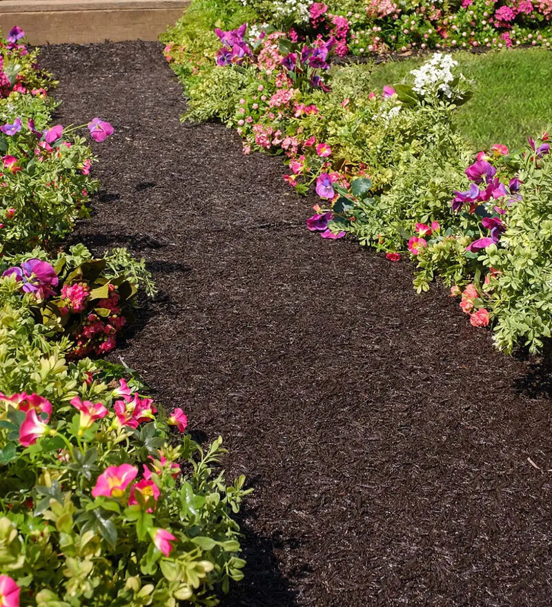 Recycled Rubber Mulch Path
