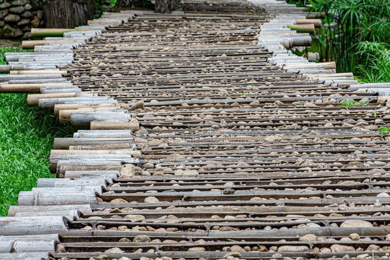 Pedras de bambu