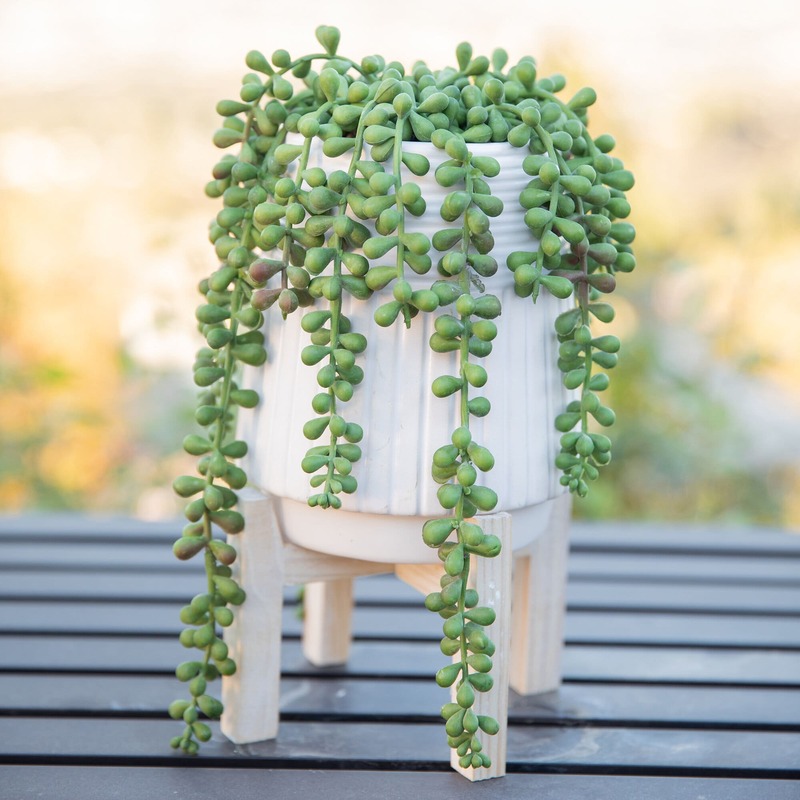 String of Pearls