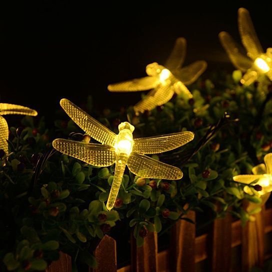 Dragonfly Lights