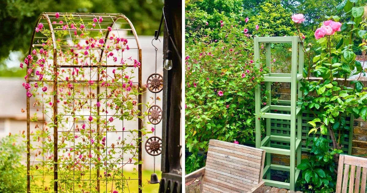 DIY Trellis Ideas