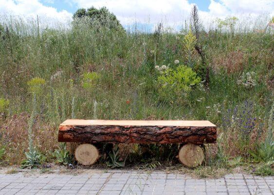 A Garden Bench