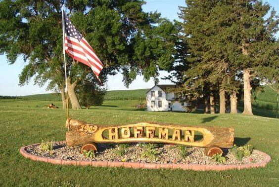 Carved Thru Log Signs