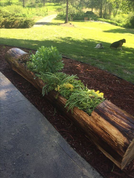 Succulent Log Planter