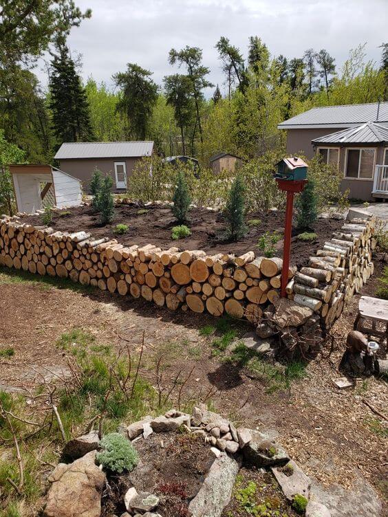  Low-Maintenance Raised Garden Bed