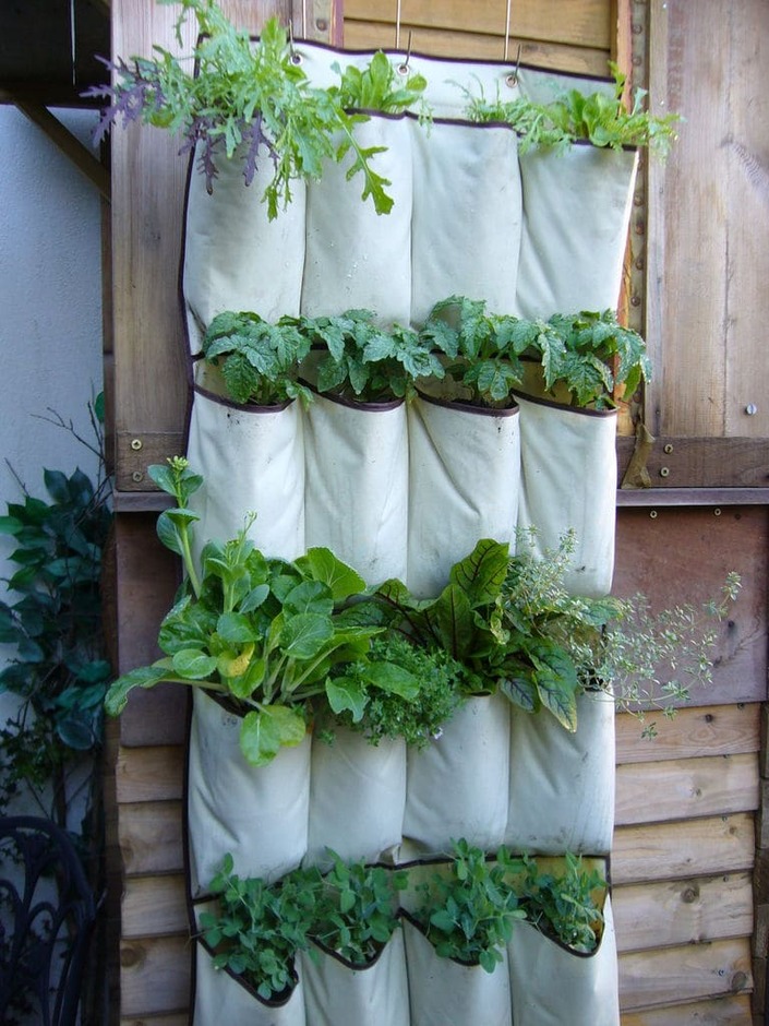 Shoe Organizer Herb Garden