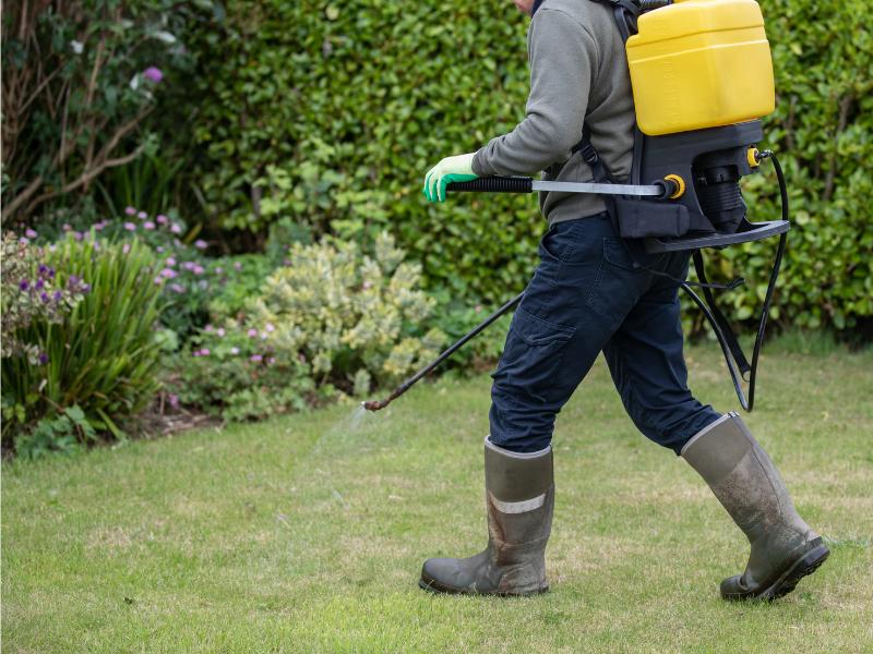 Chemical treating stickers in grass