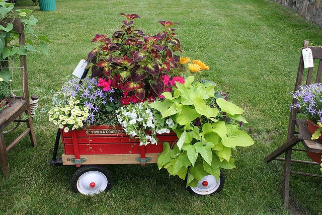 Clumsy Old Junk Planter