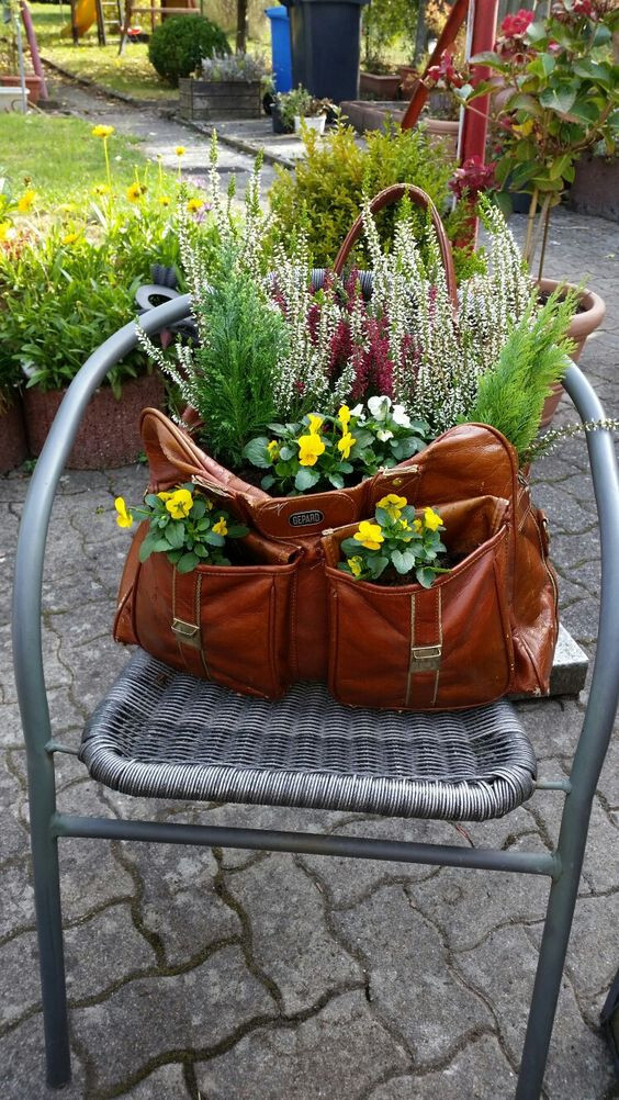 Plants In A Leather Bag