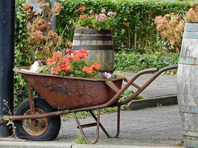 Wheelbarrow Planter