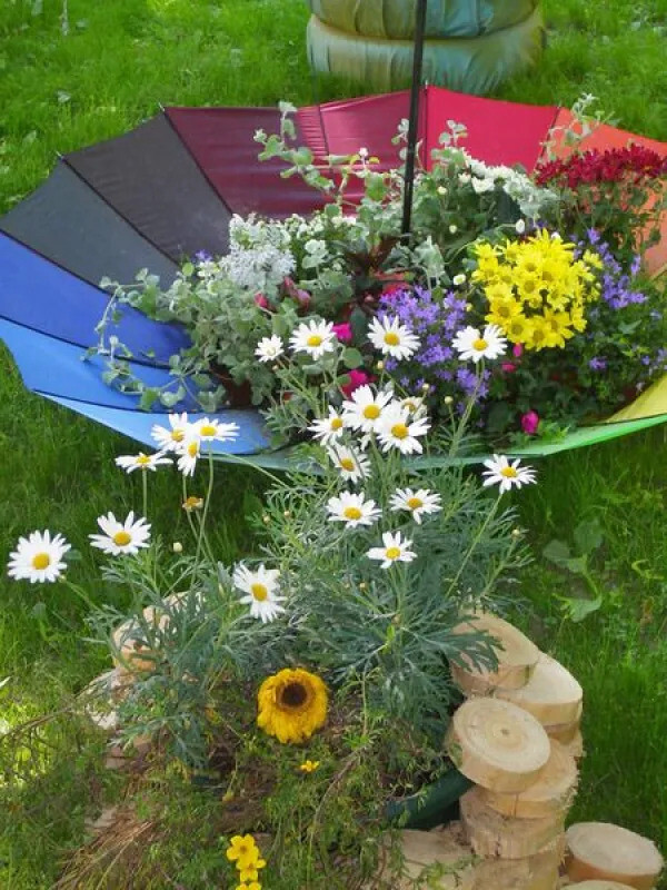 The Umbrella Planter