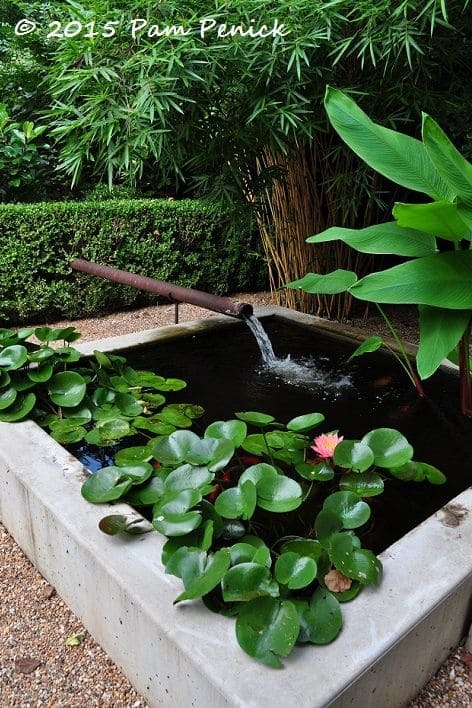 A Mini Pond Besides Bamboo Cluster