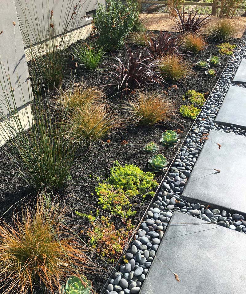 Drought Tolerant Garden Idea