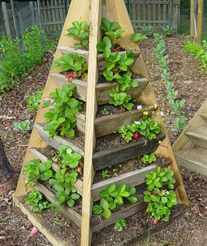 Vertical Garden Pyramid Tower