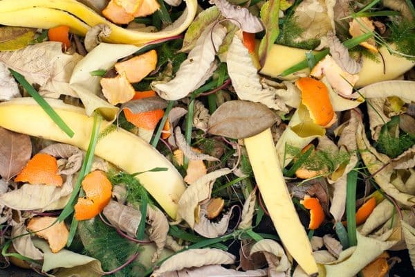 Make a compost