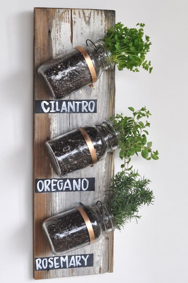 Mason Jar Garden