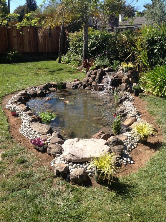  Create a Small Pond