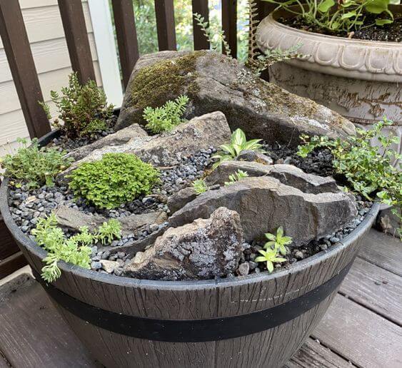  DIY Container Rock Garden