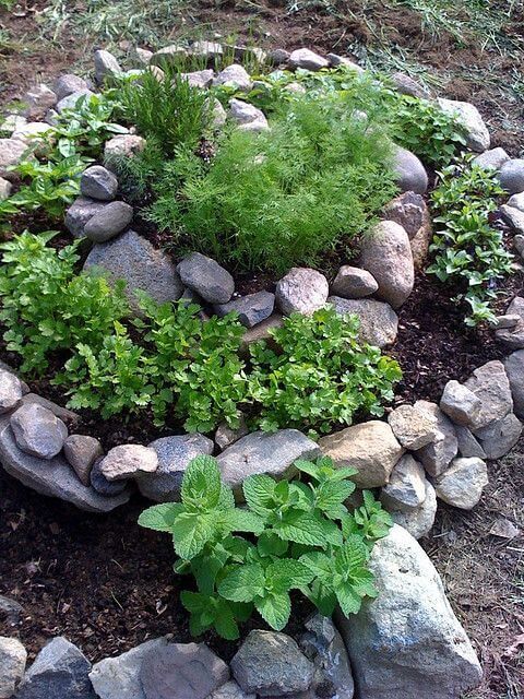 A Spiral Herb Garden