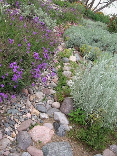  A Rustic Garden Path