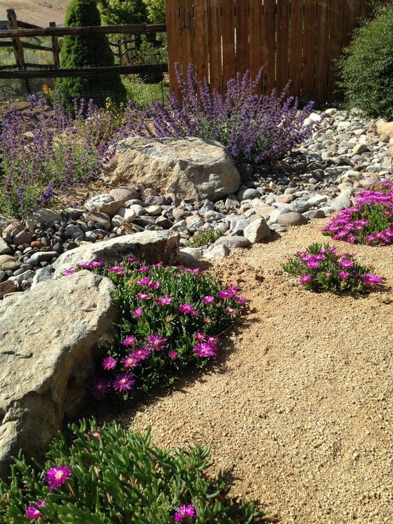 Um jardim de flores de baixa manutenção com pedras e areia