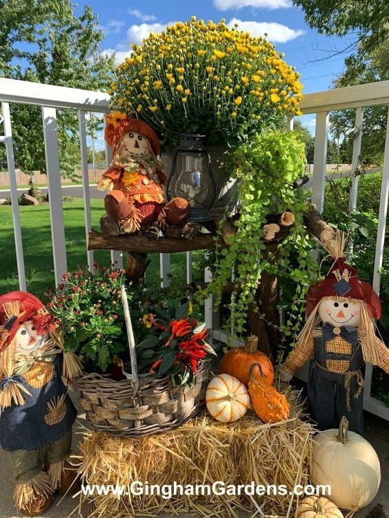  Fall Flower Garden Inspiration