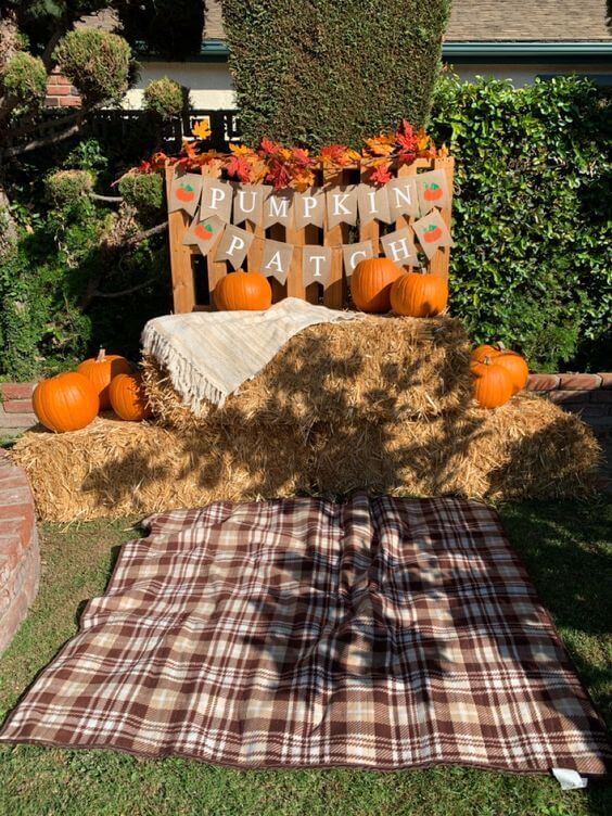 Homemade Pumpkin Patch