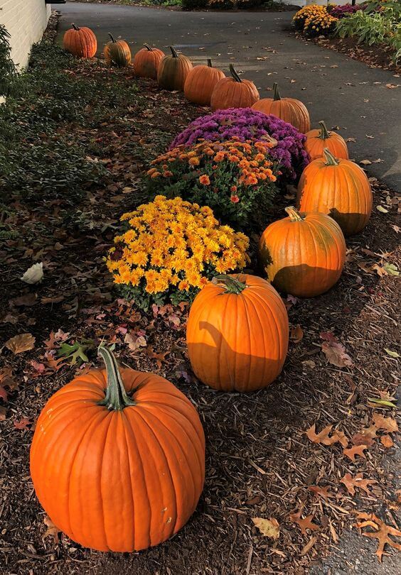 Entryway Path Fall Decoration With Pumpkin And Flower Pots