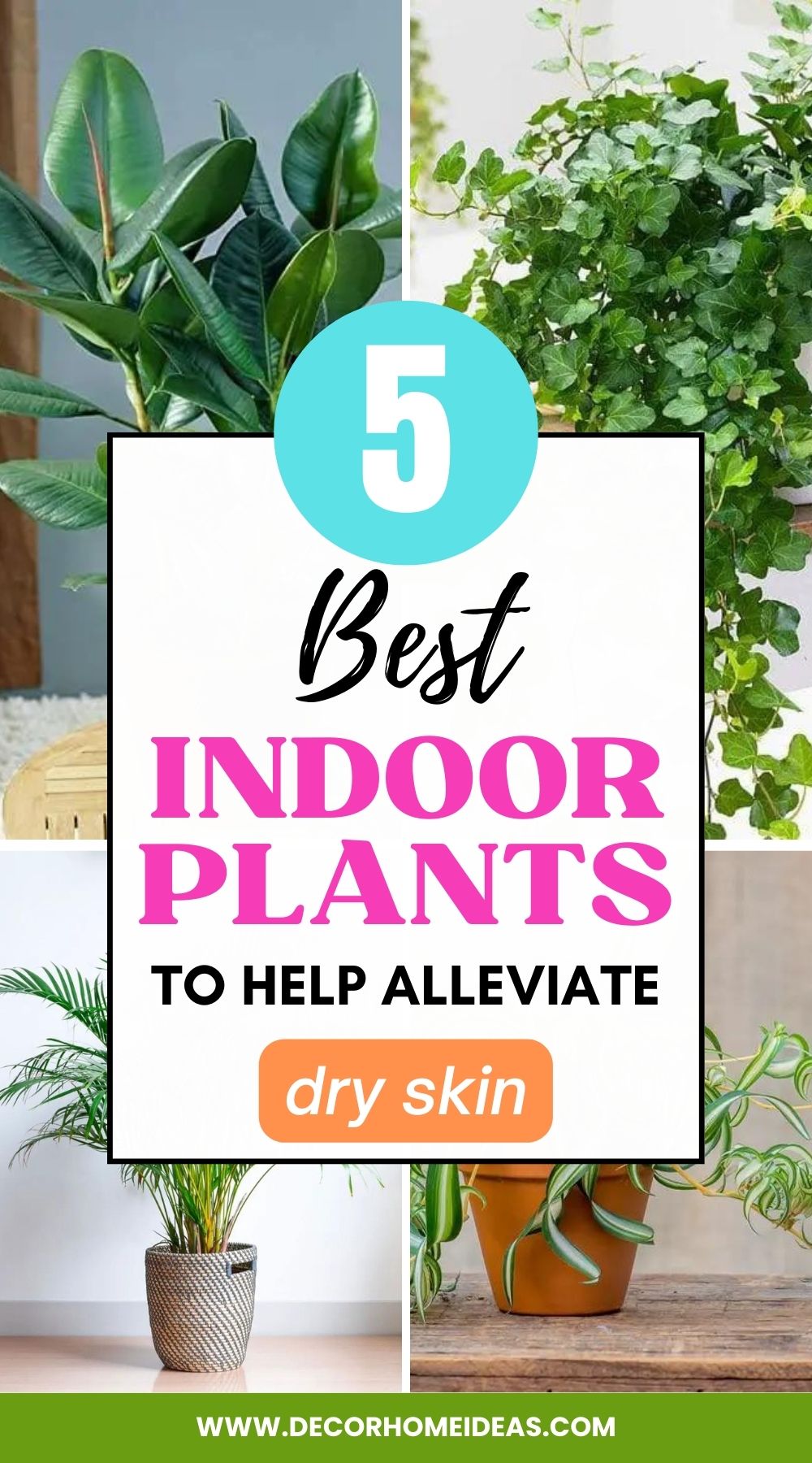 Add some greenery to your home with these 5 indoor plants that can help alleviate dry skin. Get your glow back with these easy-to-care-for plants!