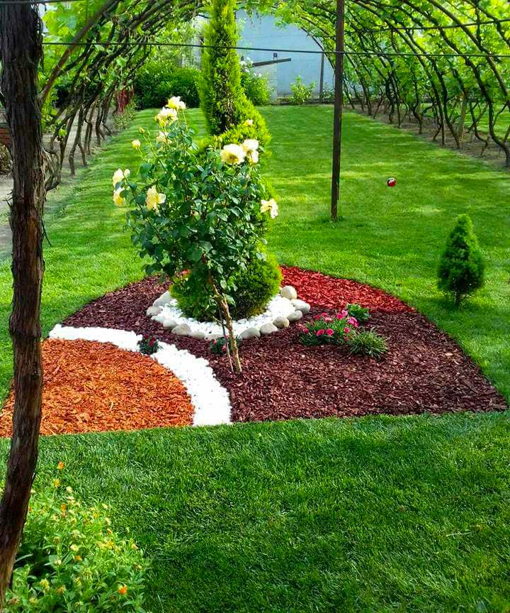 Garden Idea With Mulch