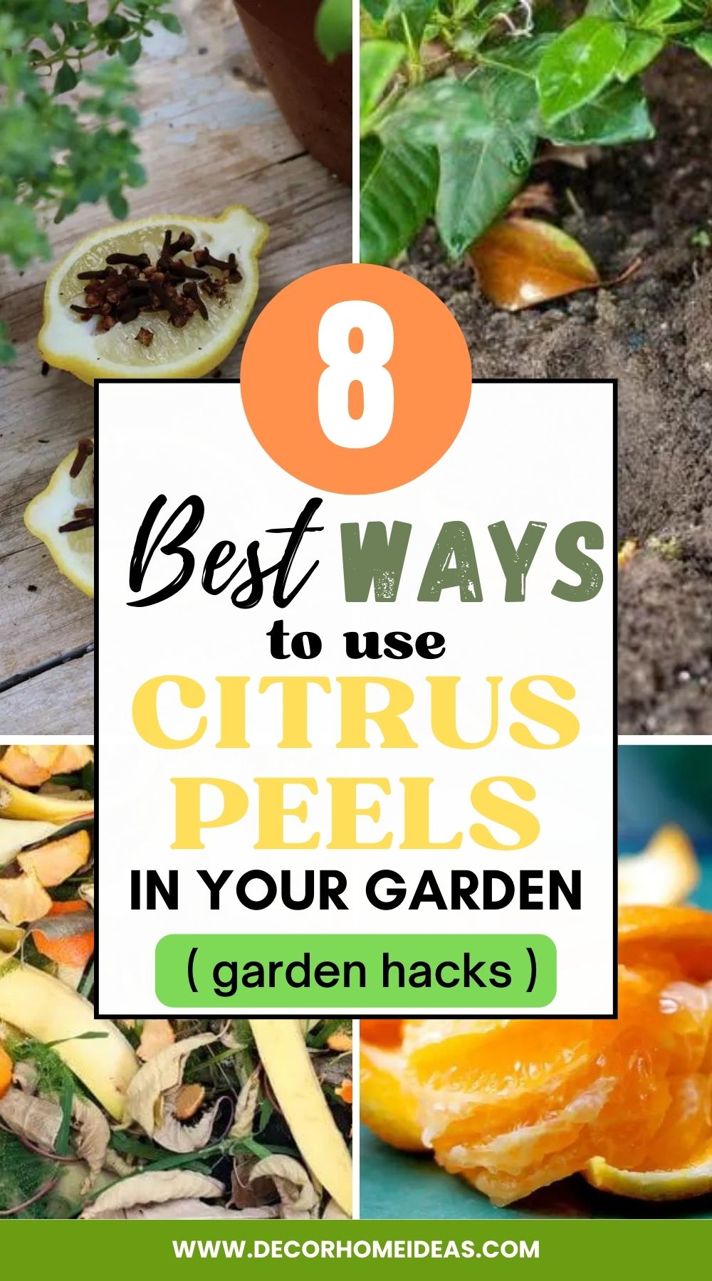 Get creative with citrus peels and discover 8 amazing uses for your garden! From fertilizers to pest repellents, learn how to make the most of citrus peels in your garden.