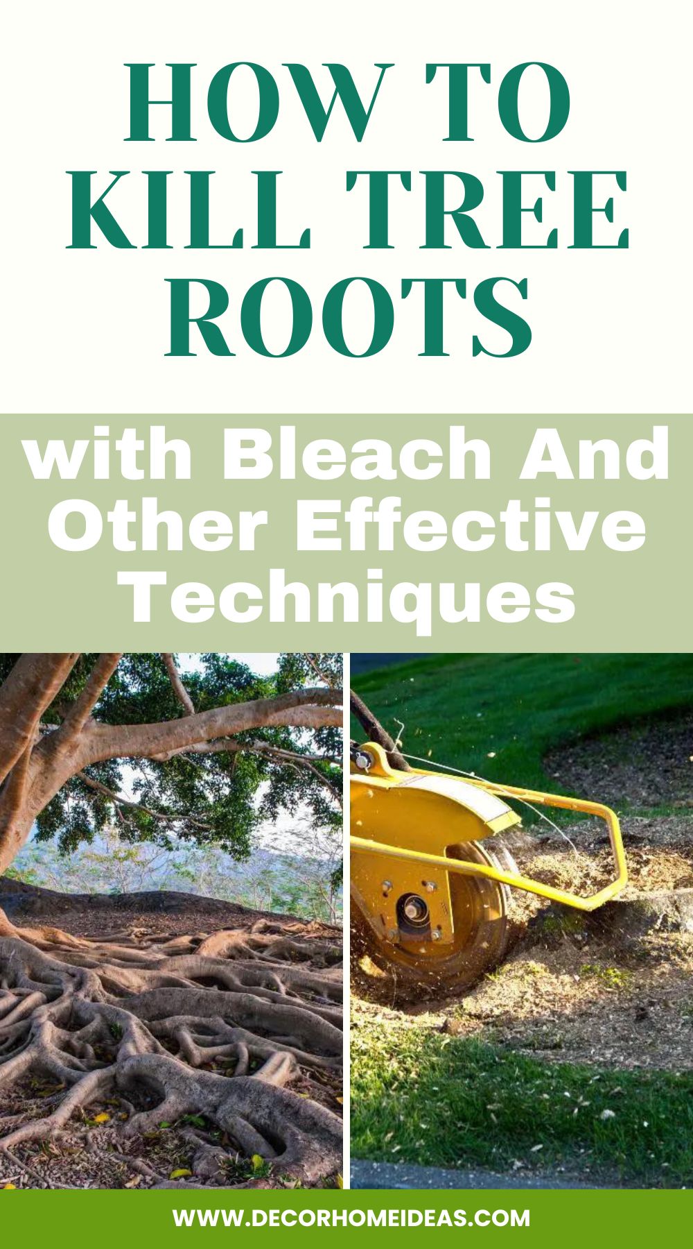 Discover effective techniques, including using bleach, to kill tree roots and regain control over your garden or yard. Learn step-by-step methods and alternative approaches to effectively remove tree roots and prevent further damage to your property.