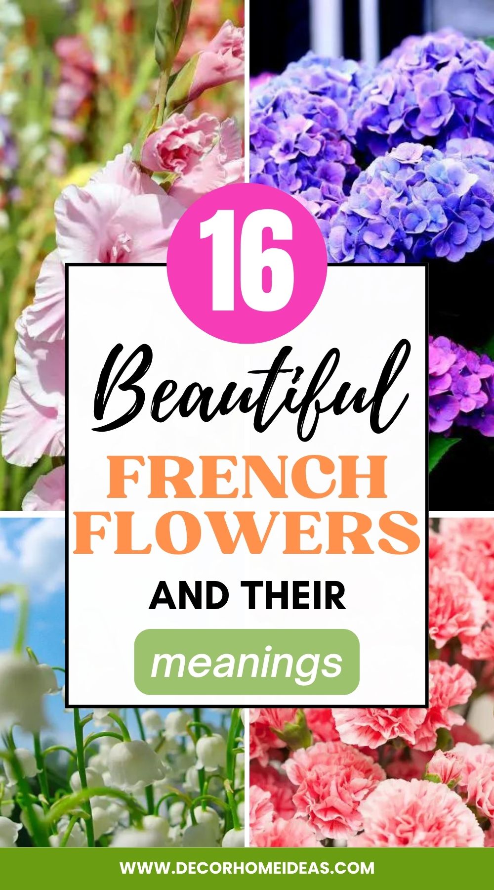 Explore the charming allure of 16 adorable French flowers and their profound meanings in our captivating article. Unravel the language of flowers as we unveil the heartfelt messages conveyed by each delicate blossom.