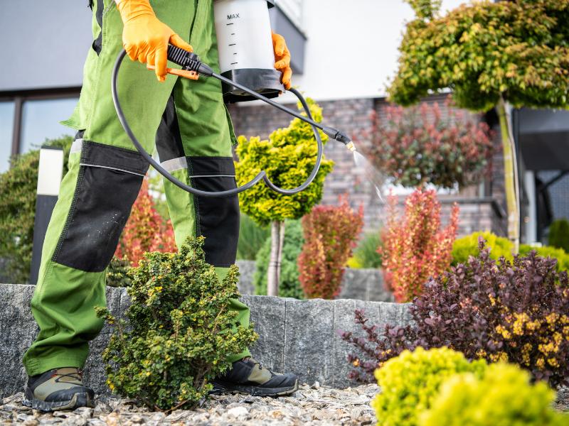 Spraying against weeds