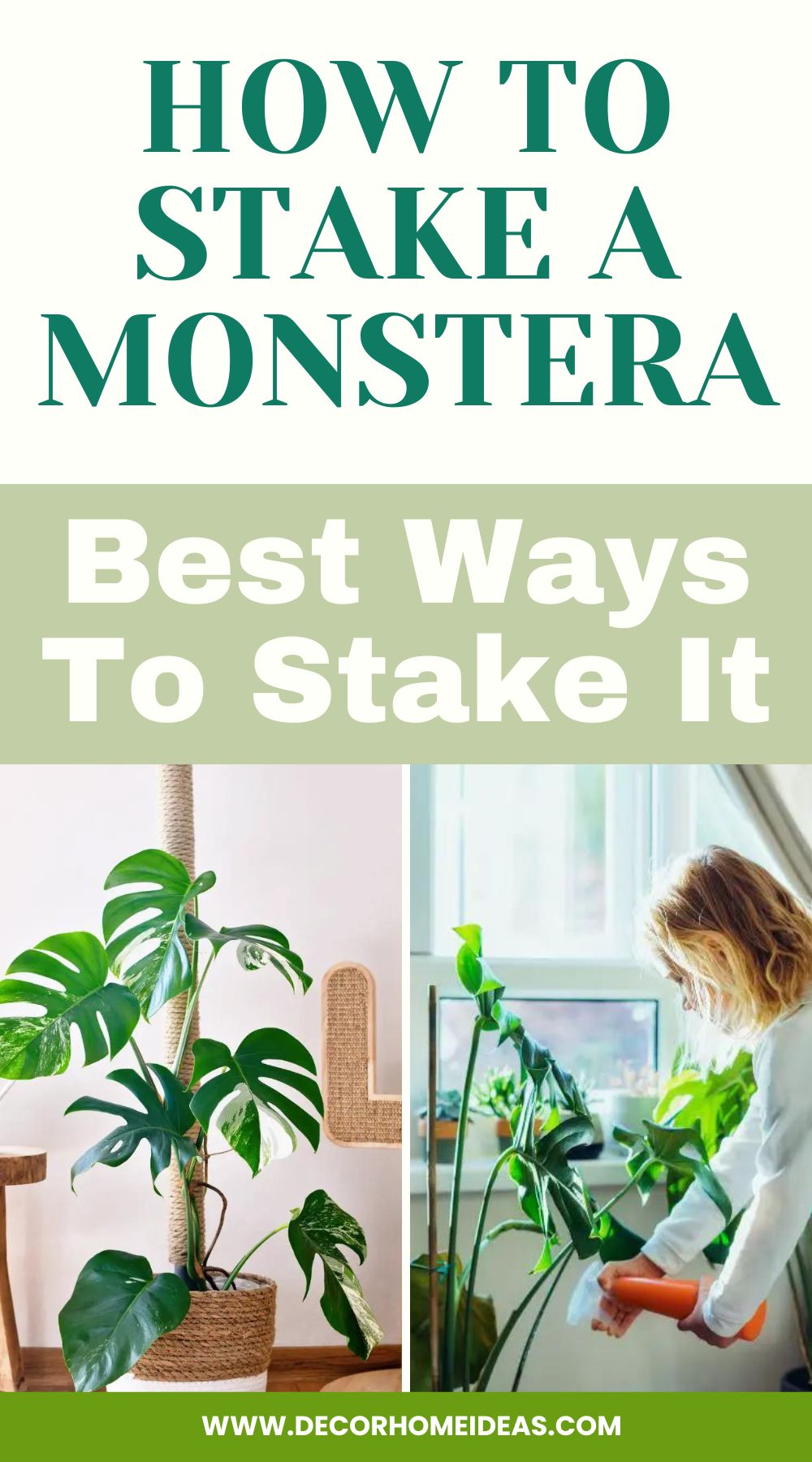 Learn how to properly stake a Monstera plant with this step-by-step guide. Discover effective techniques to provide support, promote healthy growth, and achieve a stunning, well-supported Monstera display in your home or garden.